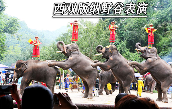 從北海到云南旅游要多少錢